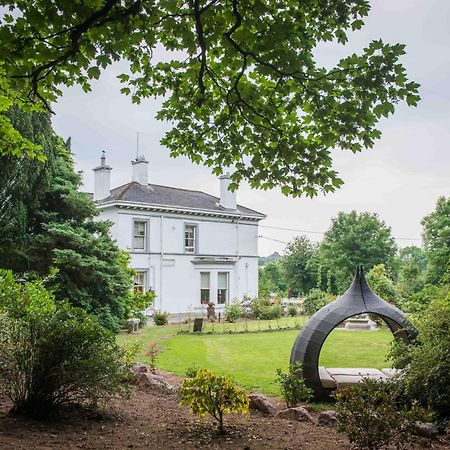 Ballinwillin House Митчелстаун Экстерьер фото